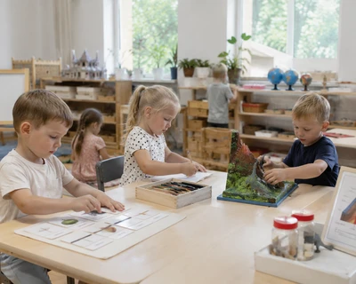 Средние 3–5 лет